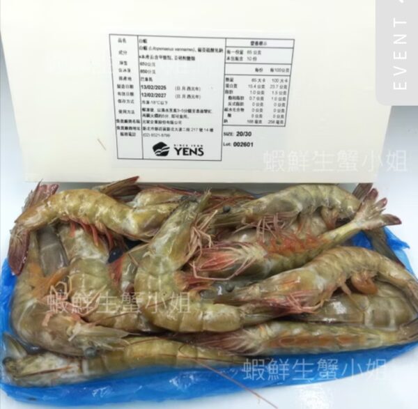 【新海豐】國王活凍大白蝦
